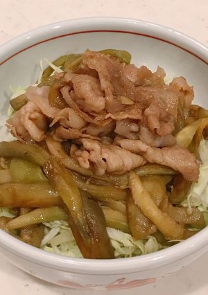 ほぼ揚げ浸し、ナスと豚バラの生姜焼き丼-レシピのメイン写真