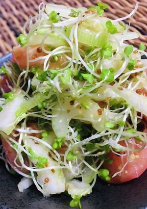 トマトセロリブロッコリースプラウトサラダ-レシピのメイン写真