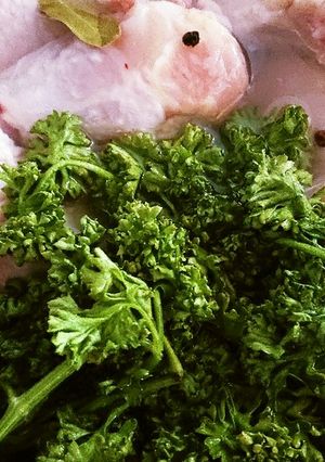 ホワイトストック（鶏ボーンブロス）お鍋で-レシピのメイン写真
