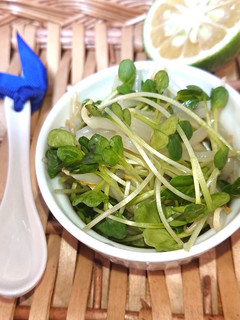 レンジで3分もやしと貝割れ菜の酢の物-レシピのメイン写真