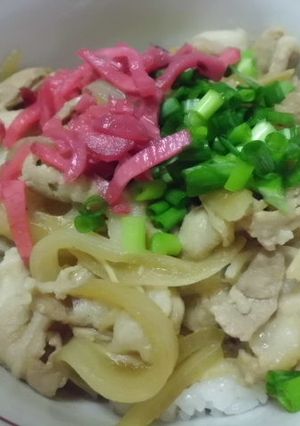 牛丼、豚丼、親子丼、肉うどんの汎用レシピ-レシピのメイン写真