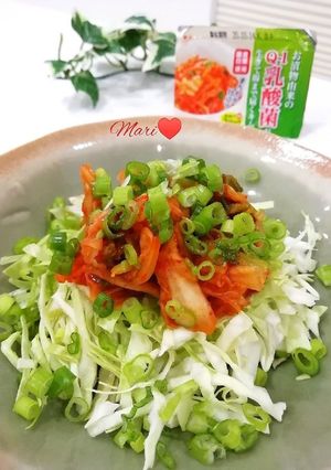 ごま油香る!キムチ✕キャベツのおつまみ-レシピのメイン写真