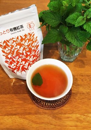 鳥取紅茶陣構のレモンバームティー-レシピのメイン写真