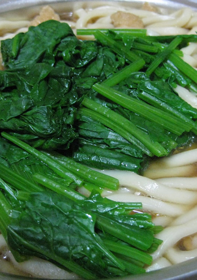 簡単☆美味！野菜と鶏肉の煮込みうどん♪-レシピのメイン写真