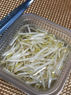 もやしの保存方法-レシピのメイン写真