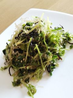 豆苗の塩こぶサラダ-レシピのメイン写真