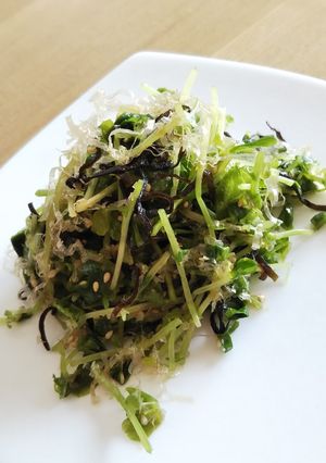 豆苗の塩こぶサラダ-レシピのメイン写真