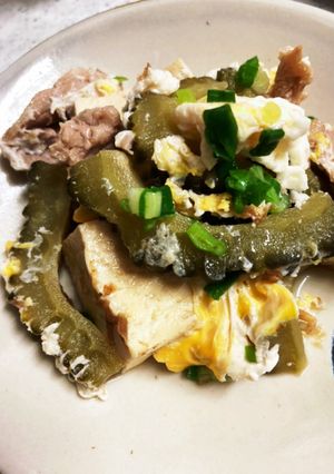 ゴーヤと豆腐の甘辛煮-レシピのメイン写真