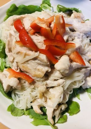 シンプル●鶏肉の素麺チャンプルー-レシピのメイン写真