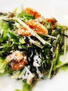 和えるだけ!豆腐とひじきと水菜のサラダ-レシピのメイン写真