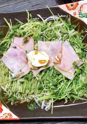 ﾚﾝﾁﾝ！豆苗とベーコンバターぽん酢-レシピのメイン写真