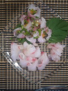 ひと味違うよ♫イシガキダイの昆布〆♡-レシピのメイン写真