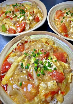 賄い♪トマト入り酸辣あんかけご飯-レシピのメイン写真