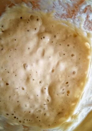 小麦粉と水だけ！自家製天然酵母の作り方-レシピのメイン写真