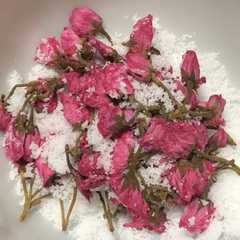 รูปของ 桜の塩漬け