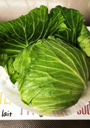 キャベツは外葉で包んで保存がおすすめ-レシピのメイン写真