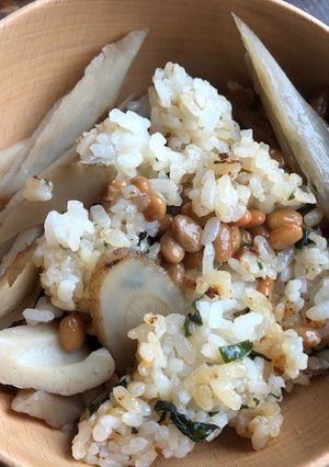 納豆とゴボウのご飯-レシピのメイン写真