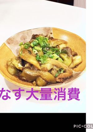 ナス消費ご飯のお供、酒のアテにも-レシピのメイン写真