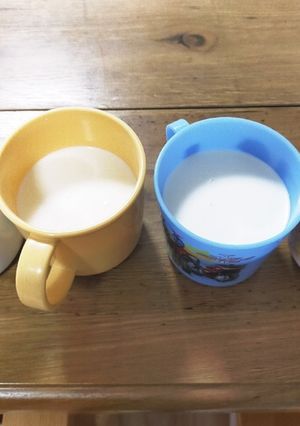 牛乳プリン-レシピのメイン写真