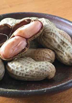 【秋の薬膳】生落花生の塩茹で-レシピのメイン写真