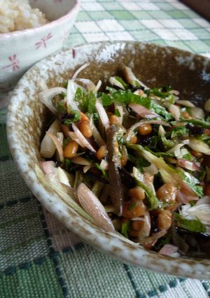 香りがいい♡　香味野菜の大絶賛納豆和え-レシピのメイン写真