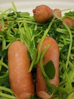 豆苗とウィンナーの炒め物-レシピのメイン写真