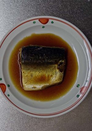 鯖の煮つけ 生臭くない最強レシピ-レシピのメイン写真