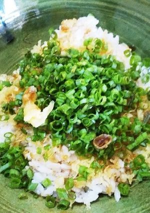 ずぼら 天カス丼 万能ネギちらし-レシピのメイン写真