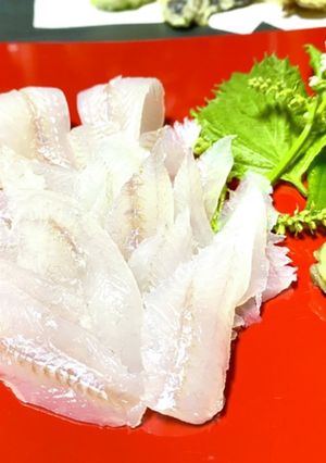 鱚のお刺身-レシピのメイン写真