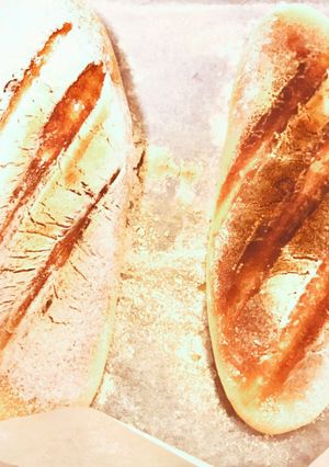 手ごねフランスパン(改良中)-レシピのメイン写真