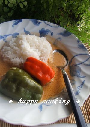 レッドカレー★ピーマンの肉詰めカレー-レシピのメイン写真