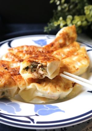 鮭と紫蘇のチーズ餃子☆-レシピのメイン写真