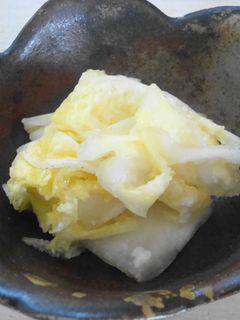 超簡単白菜の塩麴漬け-レシピのメイン写真