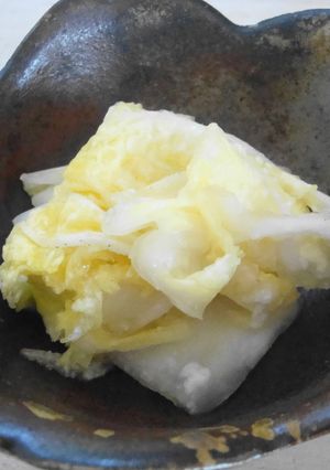 超簡単白菜の塩麴漬け-レシピのメイン写真