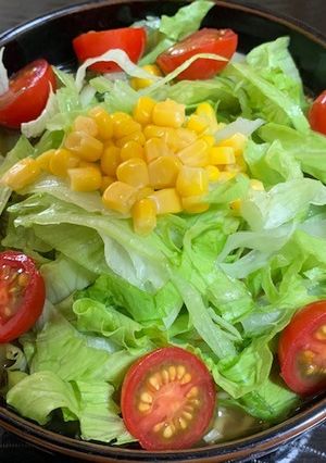 サッポロ一番しょうゆ味　サラダラーメン-レシピのメイン写真