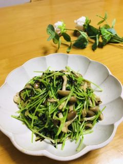 豆苗としめじのナムル-レシピのメイン写真