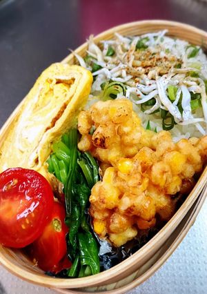 しらす丼弁当-レシピのメイン写真