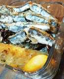 カタクチイワシ 水カマスのオイル煮