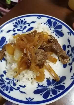 玉ねぎ肉丼-レシピのメイン写真