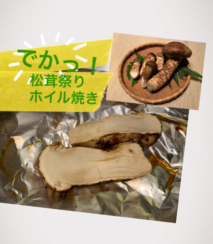 松茸祭り〜その1〜松茸のホイル蒸し-レシピのメイン写真