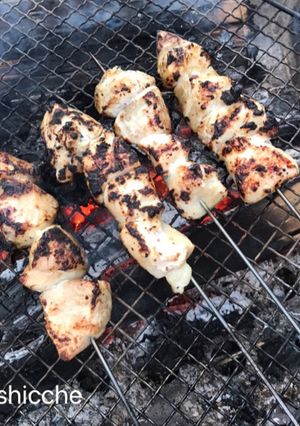 キャンプ飯♡ヨーグルト漬けグリルチキン-レシピのメイン写真