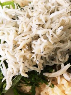 覚書;大葉たっぷり しらす丼-レシピのメイン写真