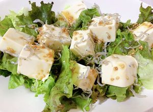 ダイエット　豆腐とジャコのチョレギサラダ-レシピのメイン写真