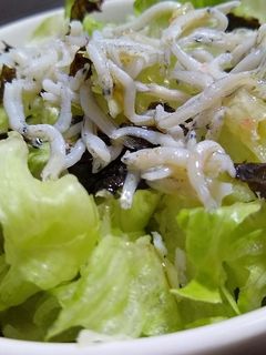 ごま油香る♡レタス×しらす×海苔サラダ-レシピのメイン写真