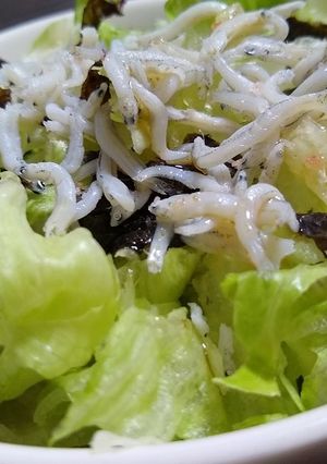 ごま油香る♡レタス×しらす×海苔サラダ-レシピのメイン写真