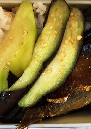 ナスの漬物メインのお弁当-レシピのメイン写真