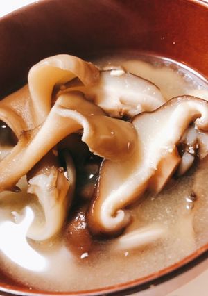 舞茸としいたけの味噌汁-レシピのメイン写真