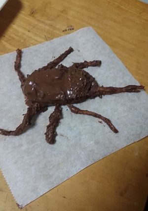 チョコのカブトムシとクワガタ-レシピのメイン写真