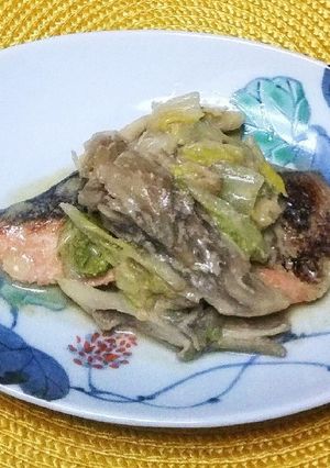 鮭の味噌豆乳煮-レシピのメイン写真