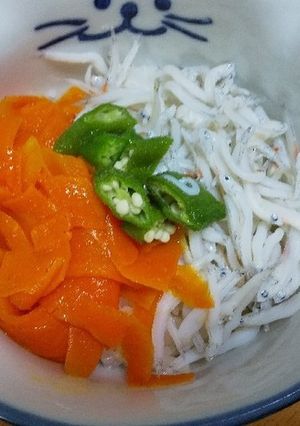 簡単！しらすと作りおきカレーマリネの丼-レシピのメイン写真